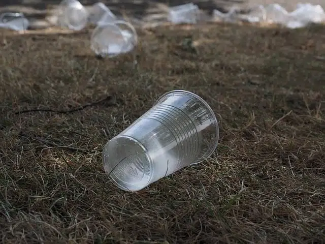 Пластиковые стаканчики фото