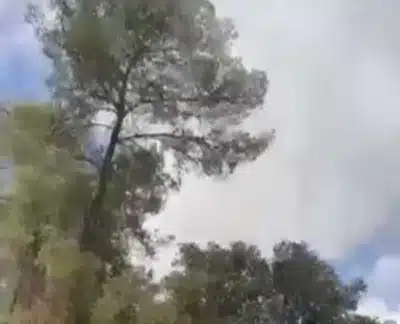 Лесной пожар скриншот