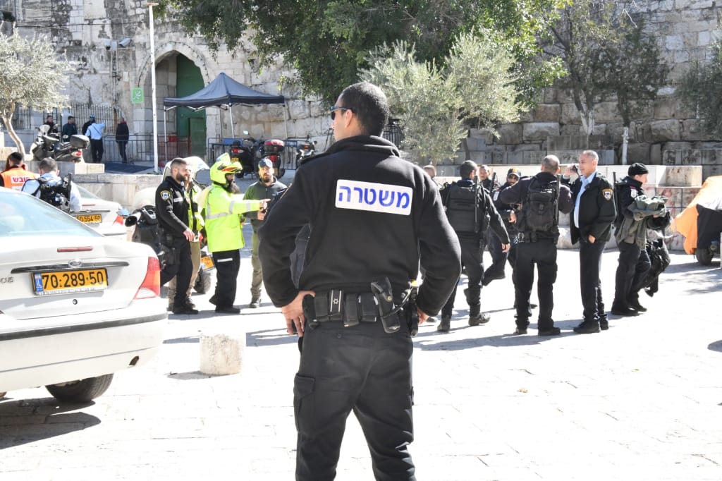 полиция израиля фото