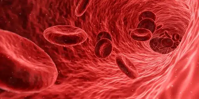 тромб клетки крови фото