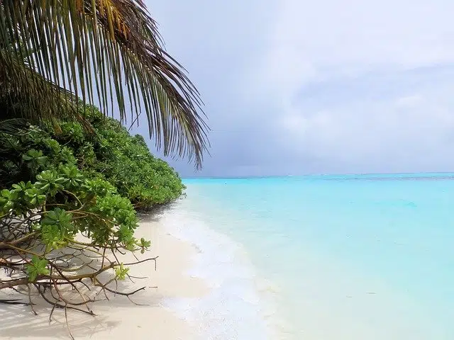 Мальдивы пляж фото