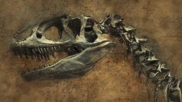 Динозавры окаменелость скелет фото