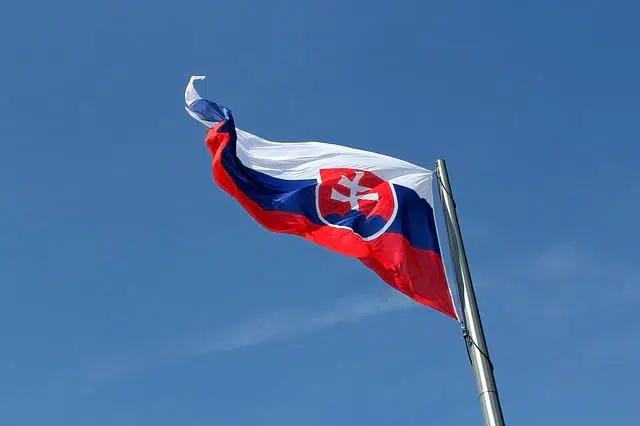 флаг словакии фото