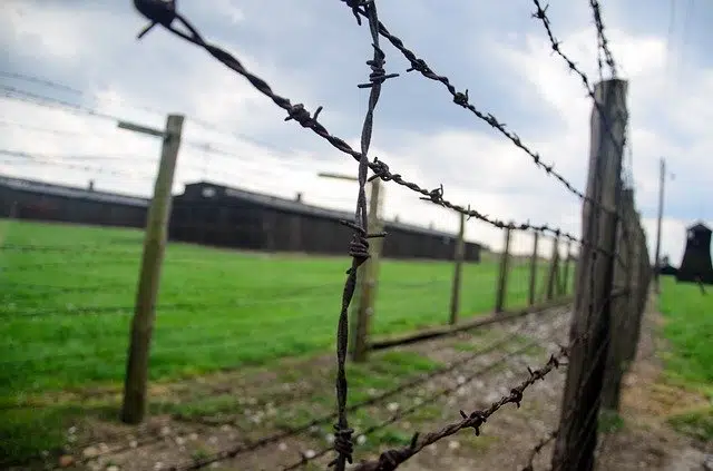 Холокост колючая проволока концлагерь изображение
