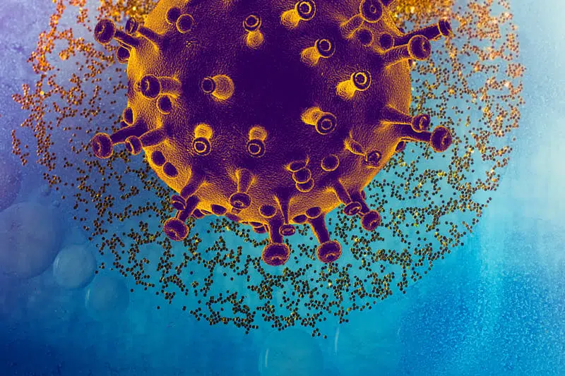 коронавирус фото