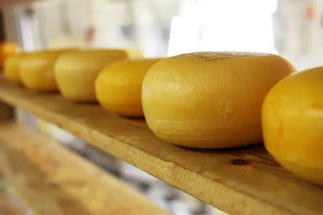 Какой сыр способствует похудению и регулирует кровяное давление 01.03.2024