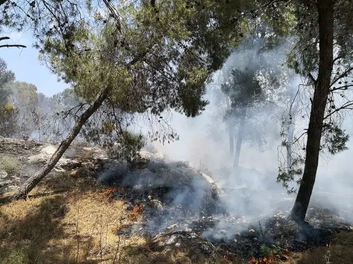 На севере Израиля вспыхнул сильный пожар: туристов срочно эвакуировали 08.05.2024