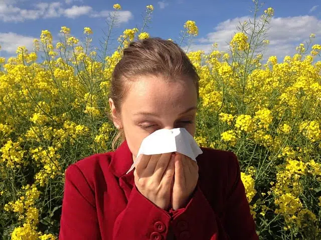 Аллергия картинка