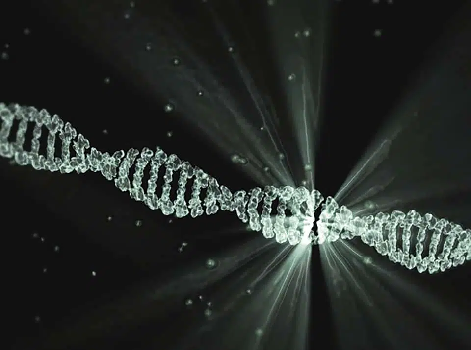 ДНК изображение