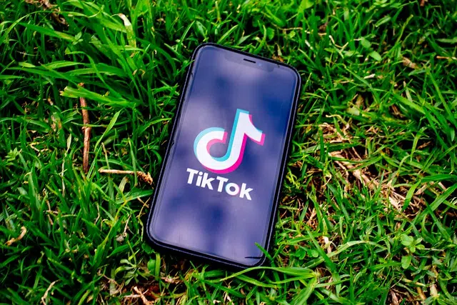 TikTok соцсети смартфон на траве картинка