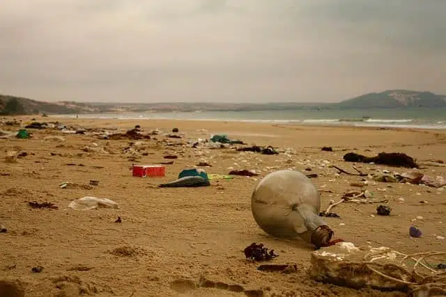 Усыпанный мусором берег фото