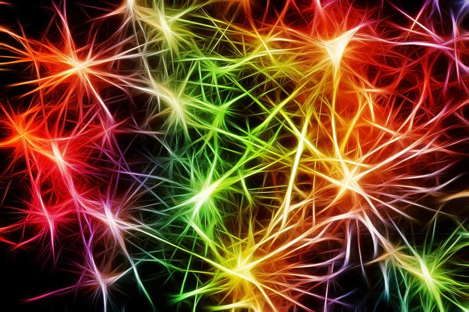 Нейроны изображение