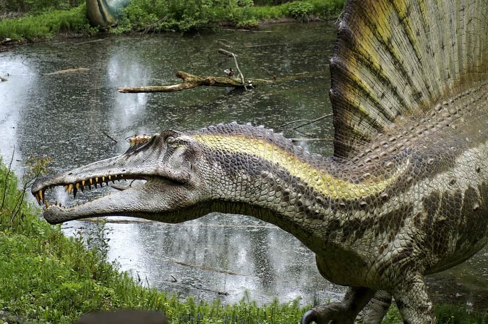 динозавр картинка