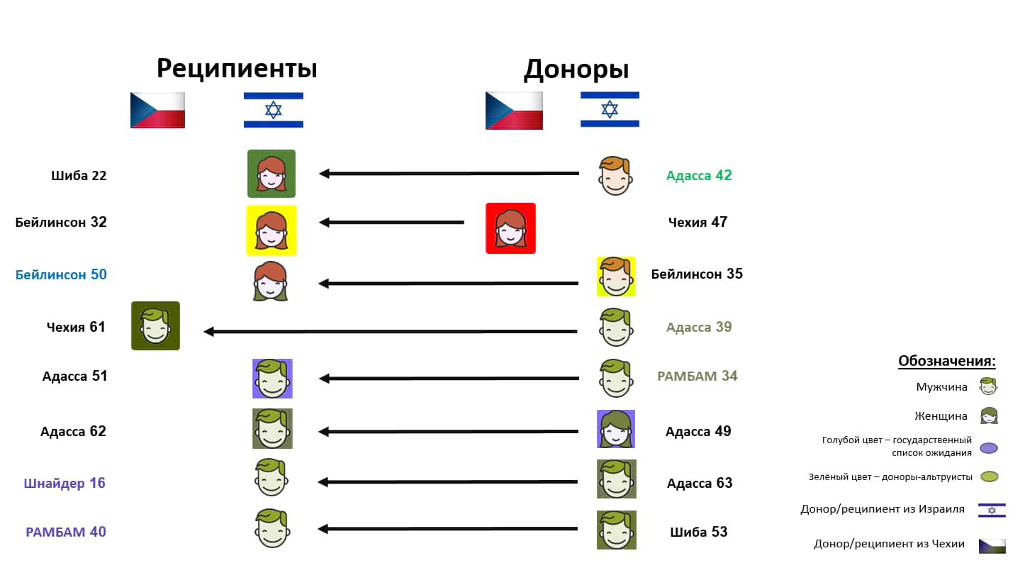 Схема доноров почек