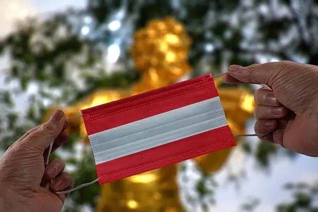 Маска цветов флага Австрии фото
