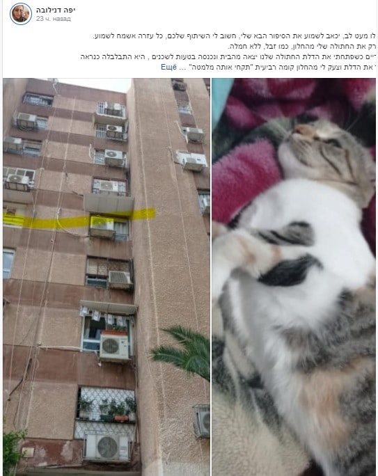 Sosed vybrosil koshku iz okna