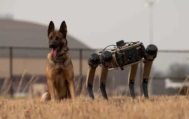 Военные США испытали новых роботов-разведчиков фото