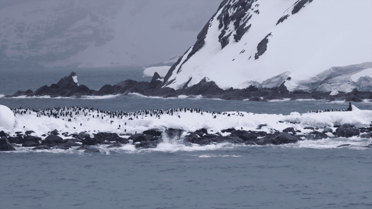Elephant Island in the South Shetland Islands of Antarctica 0 18 screenshot 1