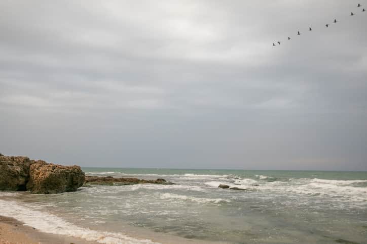 Разлив нефти возле берегов Израиля фото