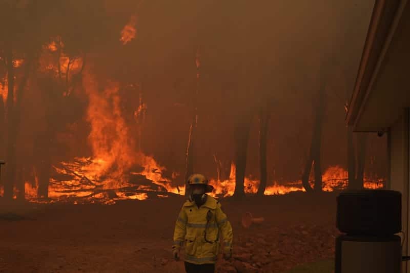 пожары в Австралии фото