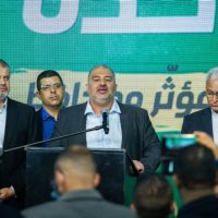 Партия РААМ фото