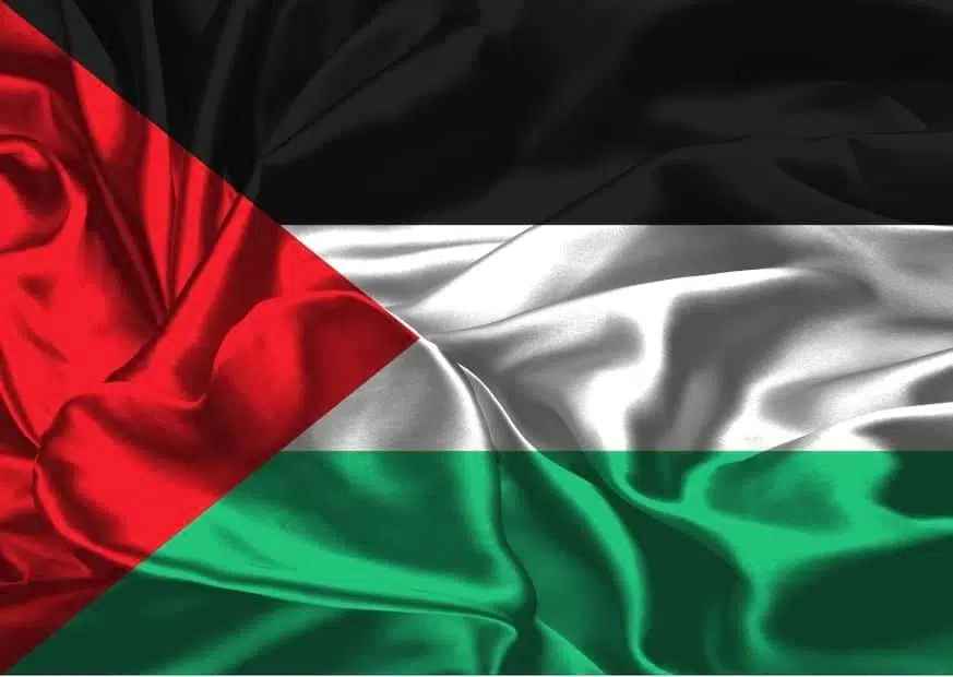Флаг Палестинской автономии изображение