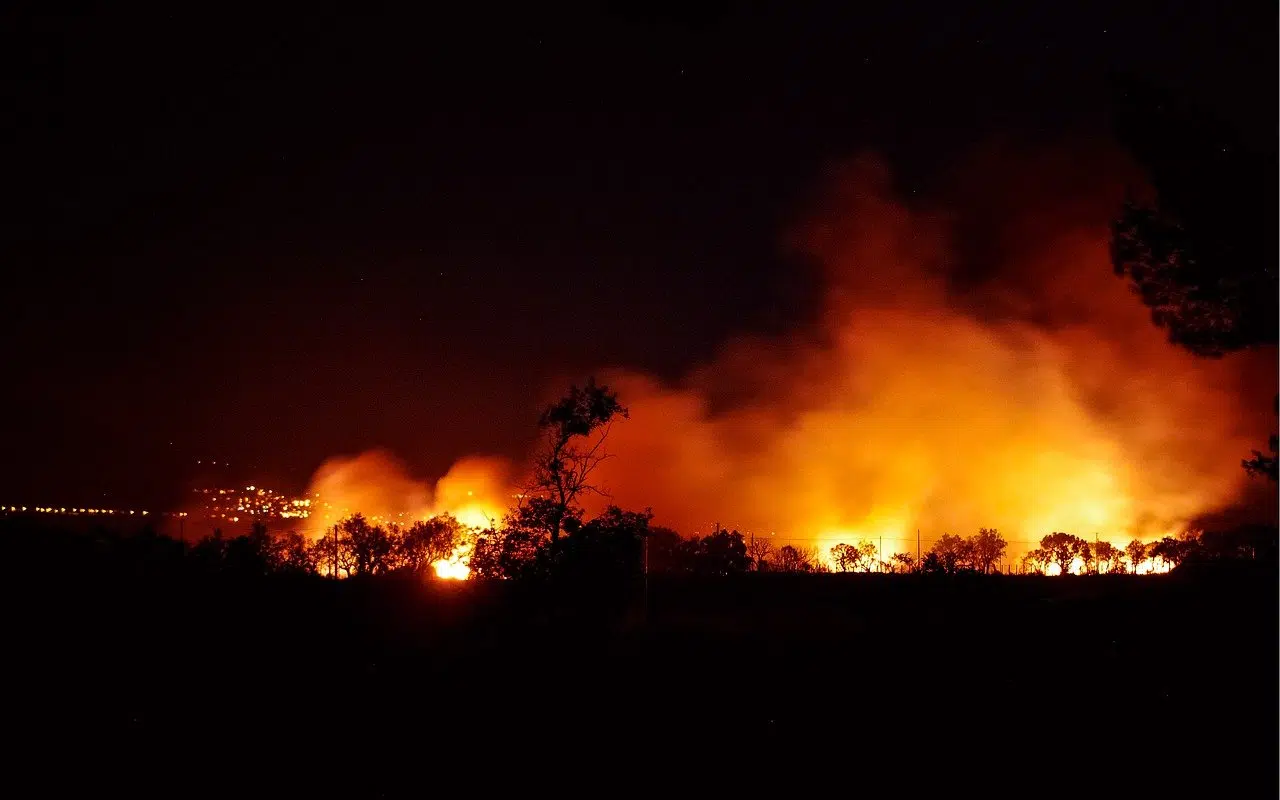пожар лес фото