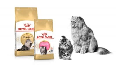 Питомцы и корм Royal Canin
