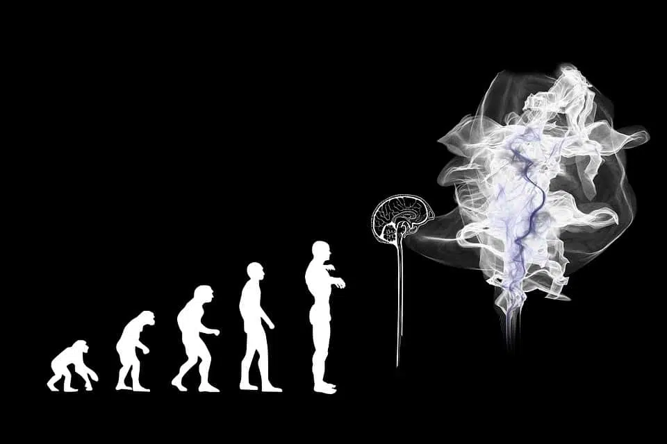 Эволюция человечества изображение