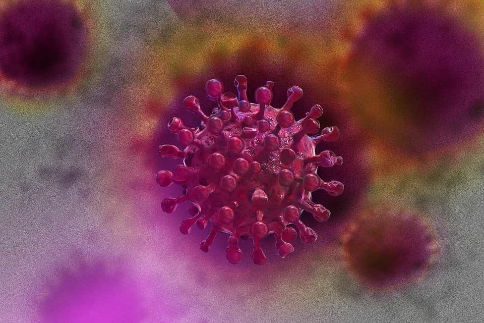 коронавирус изображение