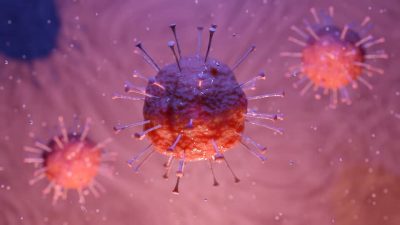 Как иммунитет борется с коронавирусом: ученые выяснили новый факт