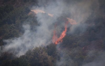 Поджог в Гуш-Эционе: возгорание произошло из-за бросания коктейлей Молотова