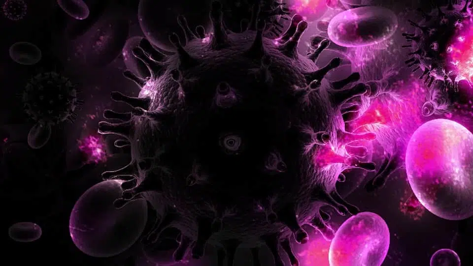 Вирус изображение