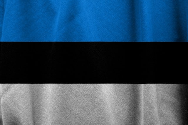 Флаг Эстонии фото
