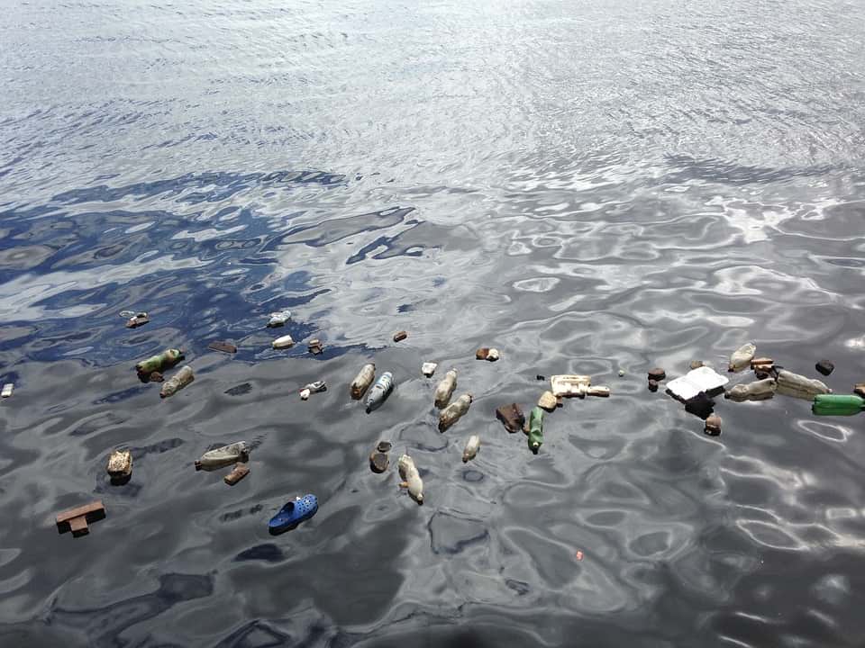пластик в океане фото