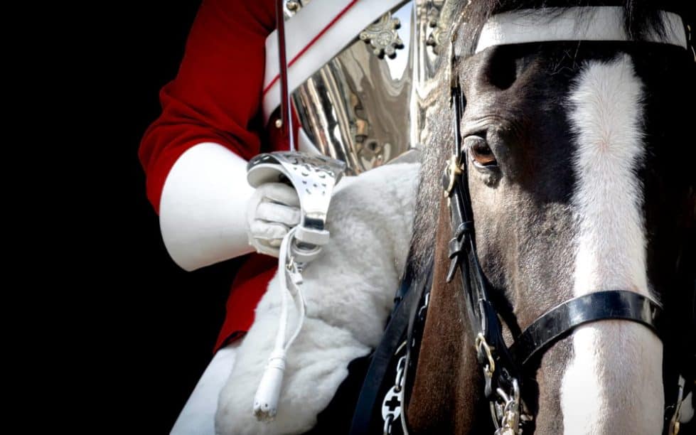 Королевский караул гвардеец конь фото