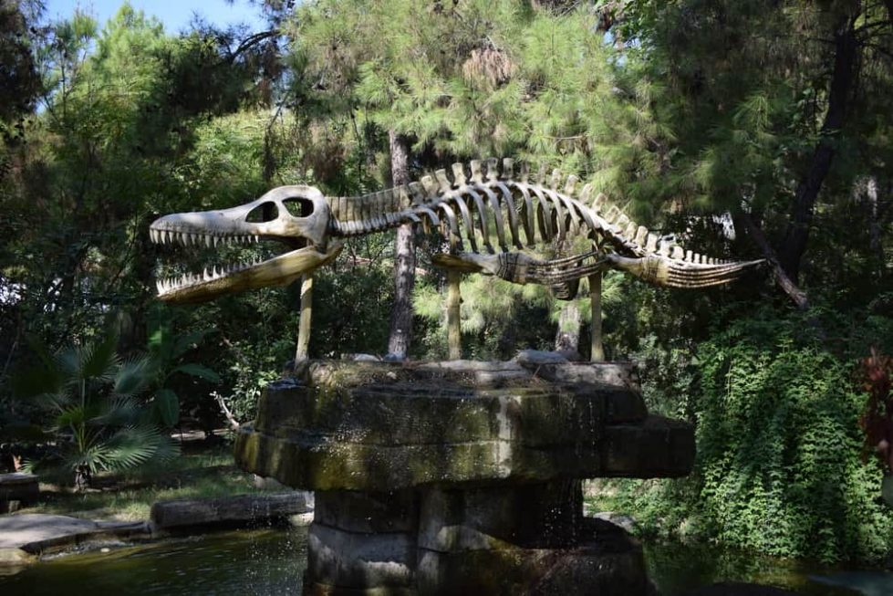 Скелет ихтиозавра фото
