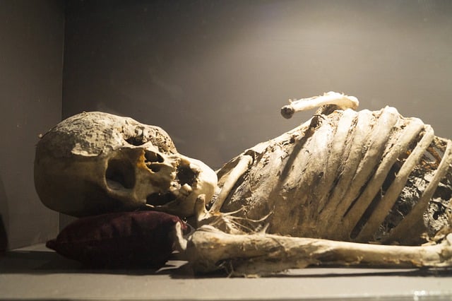 скелет мумия фото