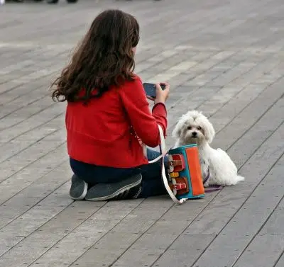 Девушка с собакой фото