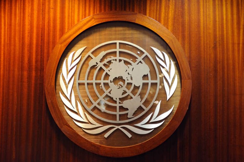 Логотип ООН фото