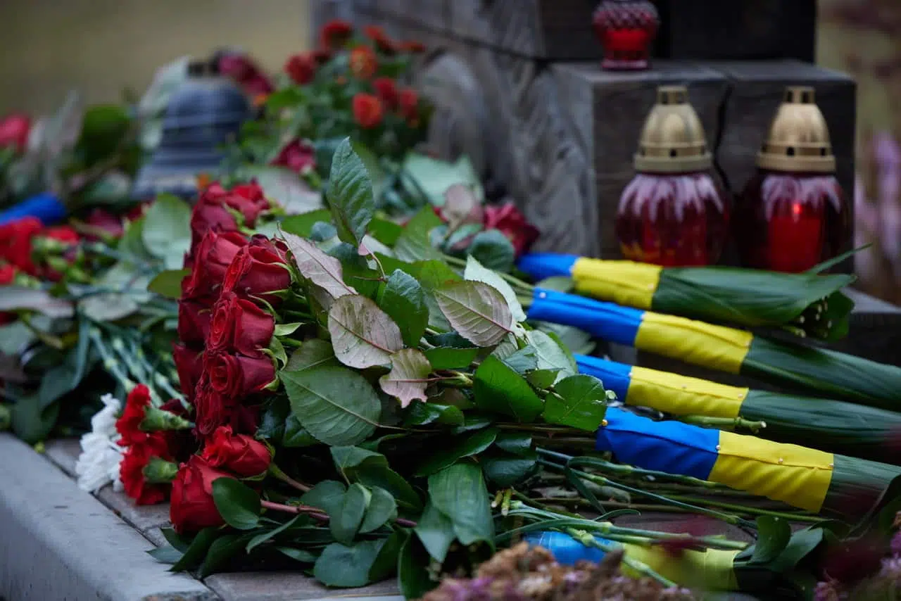 Украинский флаг, цветы, фото