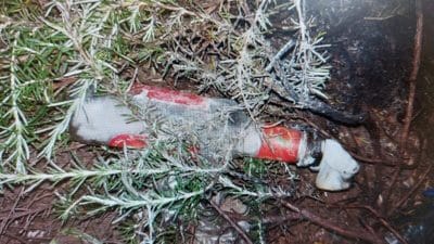 16-летний подросток из восточного иерусалима бросал в дома коктейли молотова - обвинение 2 16-летний подросток из восточного иерусалима бросал в дома коктейли молотова - обвинение 7 июля, 2022