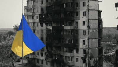 Бородянка фото