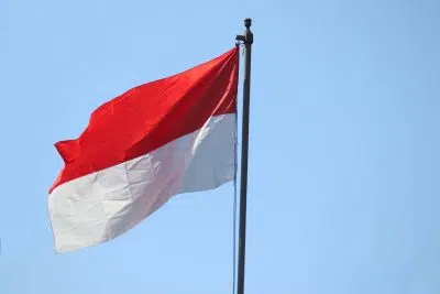 Флаг Индонезии фото