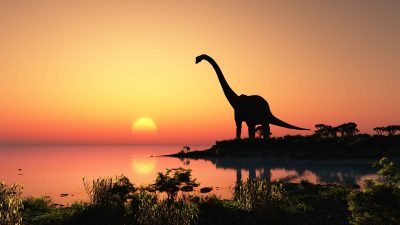Ученые обнаружили следы динозавров в наскальных рисунках – фото