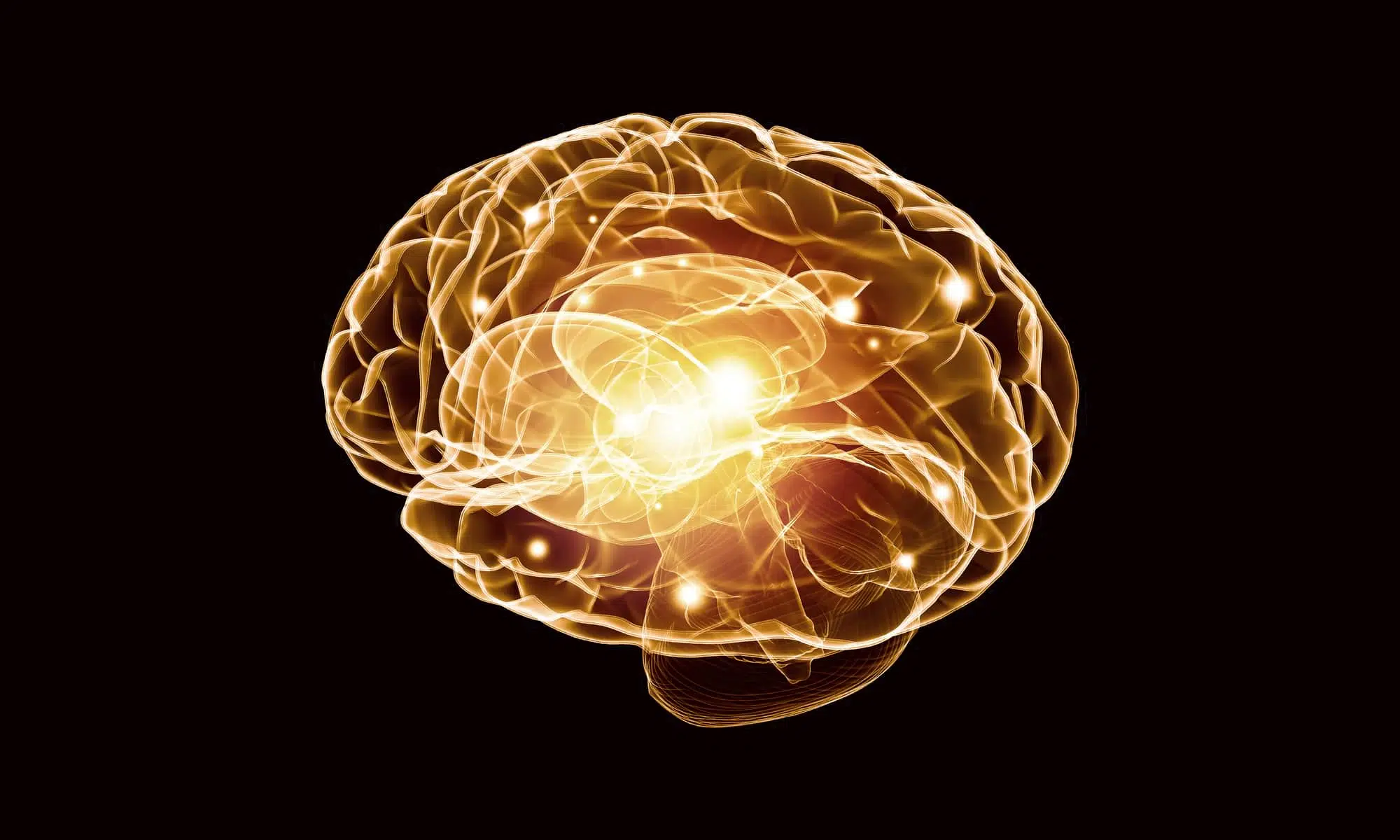 Мозг человека изображение