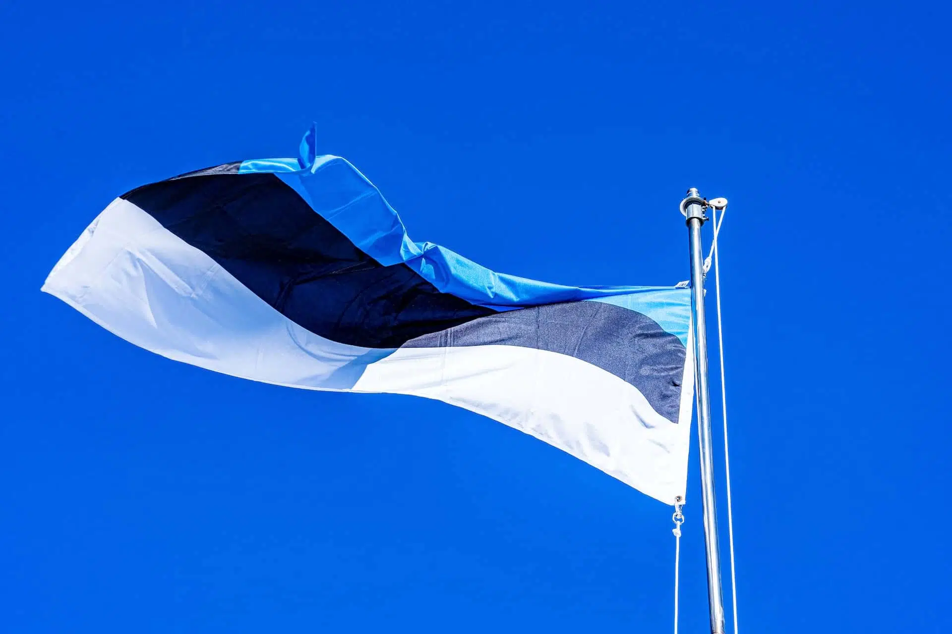 Флаг Эстонии фото Эстония