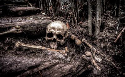 Ученые разгадали тайну найденного скелета «инопланетянина»