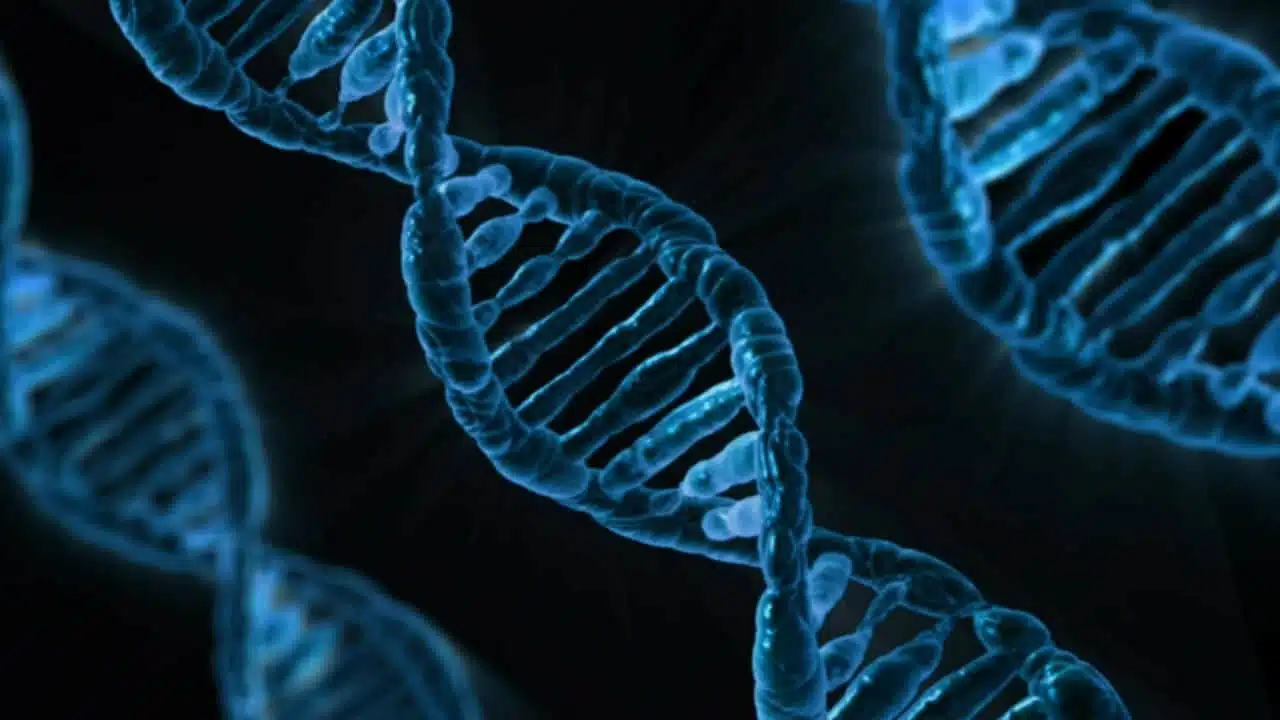 Генетика ДНК графика
