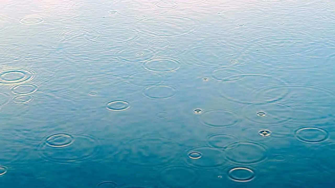 Вода, лужа, дождь фото